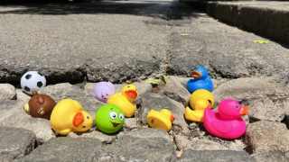 Двама младежи превърнаха проблемите по софийските улици в гражданска акция