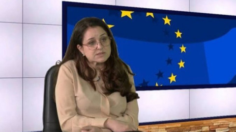 Паднаха ли цените на плодовете и зеленчуците и какви мерки за защита на родното производство предлага Браншовата камара?