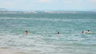 Все по-рано: Защо мъртвите вълнения по Черно море се появяват през юни и юли ?