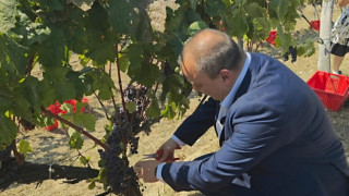 Министър Абровски: България има уникален тероар и потенциал да бъде еталон във винопроизводството
