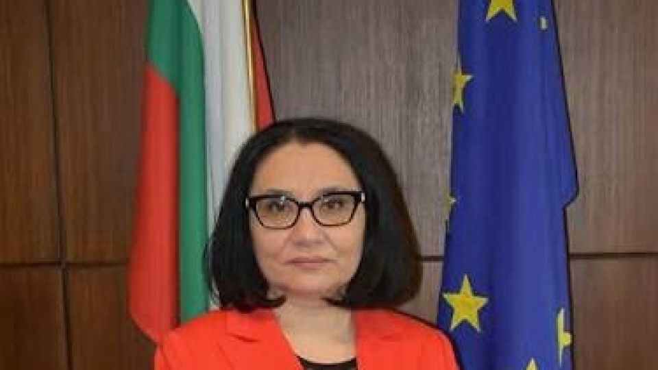Временно изпълняващият функциите главен прокурор Ваня Стефанова изиска от ДАНС пълна справка за посочените от председателя на агенцията сигнали